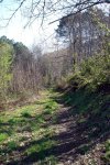 DSC03183.jpg