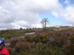 DSC01361.JPG
