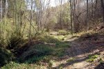 DSC03184.jpg