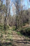 DSC03185.jpg