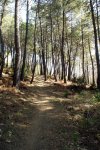 DSC03186.jpg
