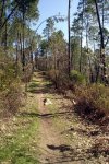 DSC03187.jpg