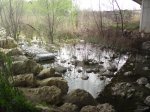 DSC01567.jpg