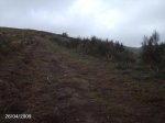 DSC00002.jpg