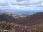 DSC00013.jpg