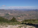 SANY0024.jpg