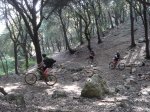 Mallorca 04.jpg