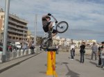 IMG_0969.jpg