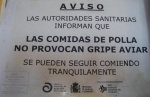 El_Camino_092.jpg