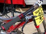 sea otter 09 3.jpg