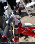 sea otter 09 5.jpg