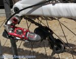 sea otter 09 8.jpg