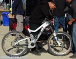 sea otter 09 9.jpg