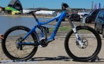 sea otter 09 10.jpg