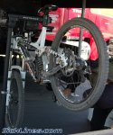 sea otter 09 21.jpg