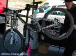 sea otter 09 22.jpg