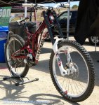 sea otter 09 31.jpg