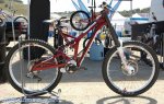 sea otter 09 32.jpg