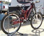 sea otter 09 33.jpg