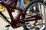 sea otter 09 38.jpg