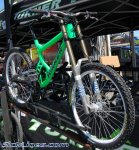 sea otter 09 41.jpg