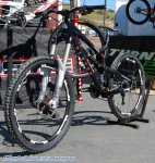 sea otter 09 45.jpg