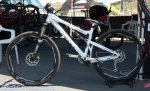sea otter 09 49.jpg