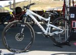 sea otter 09 50.jpg