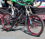 sea otter 09 52.jpg