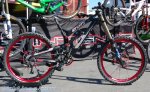 sea otter 09 53.jpg