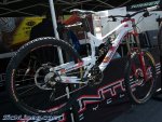 sea otter 09 65.jpg