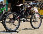 sea otter 09 70.jpg