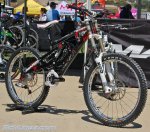 sea otter 09 71.jpg