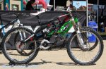 sea otter 09 72.jpg