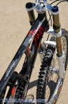sea otter 09 74.jpg