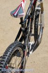 sea otter 09 75.jpg