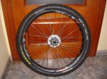 DSC01539.jpg