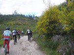 IMG_2365.JPG