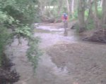 IMG00021.jpg