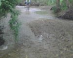 IMG00024.jpg