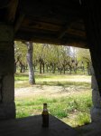 IMG_5009.jpg