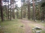 Foto34.JPG