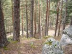 Foto36.JPG