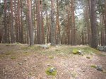 Foto38.JPG