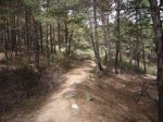 Foto42.JPG