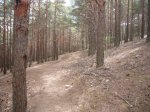 Foto43.JPG