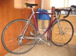 bici2.jpg