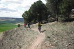 DSCF0010.jpg