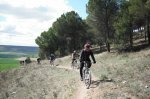 DSCF0037.jpg