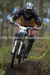 _DSC0253 copy.jpg